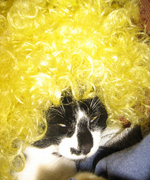 Je me pr&eacute;f&egrave;re en blonde