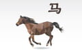 Horoscope Cheval de la semaine