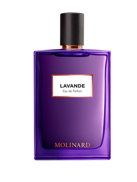 Lavande Molinard