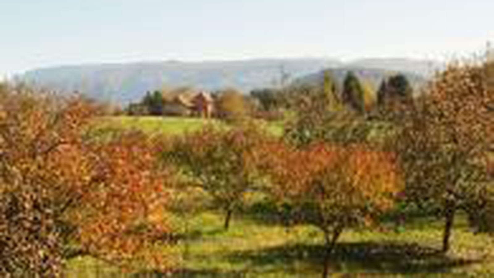 Campagne resplendissante
