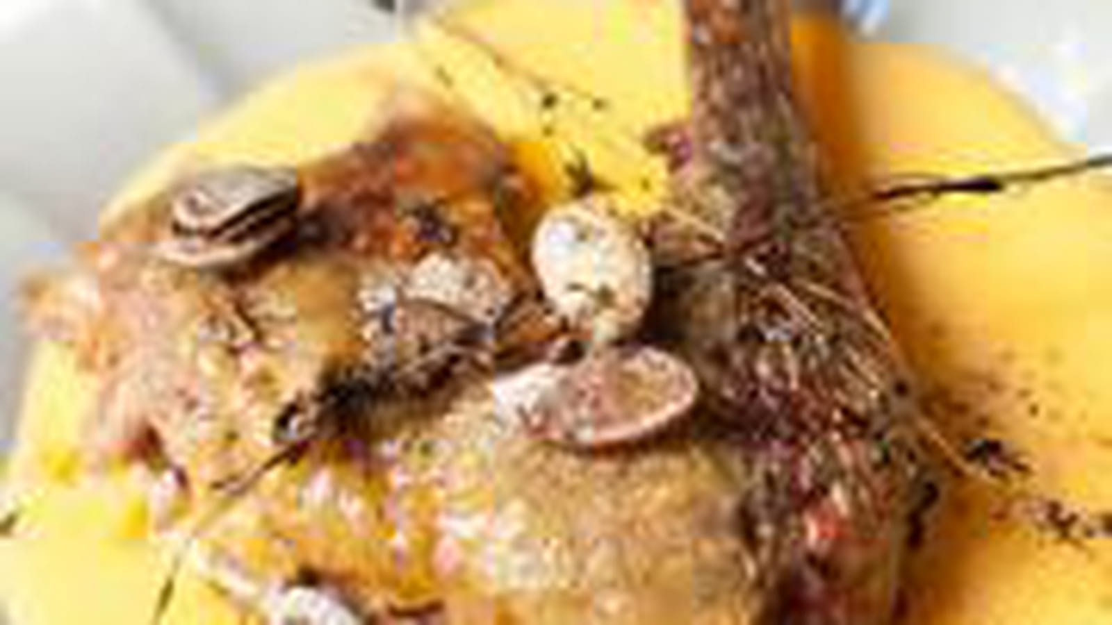 Pintade et purée d'automne
