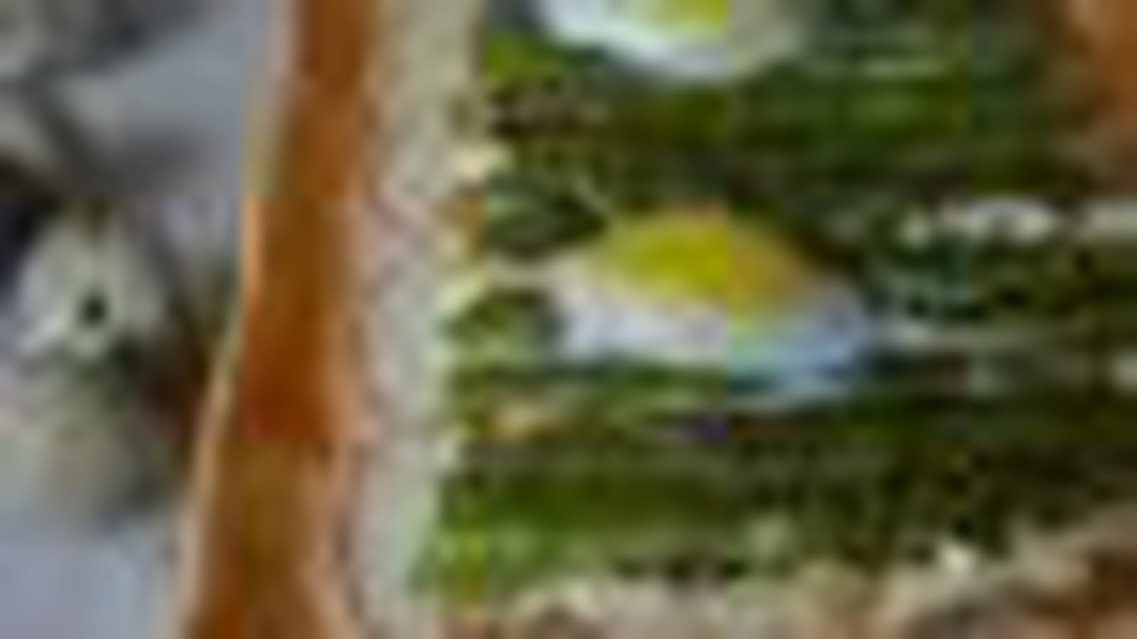 Asperge