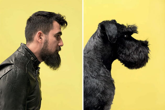 Cenk et Horst (Schnauzer)