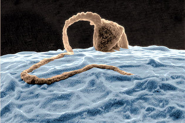 Une rencontre de longue haleine