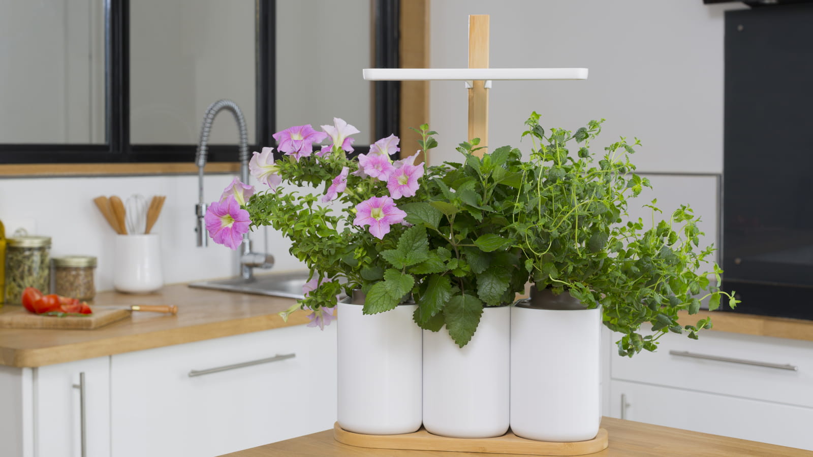 Potager Lilo Prêt à pousser