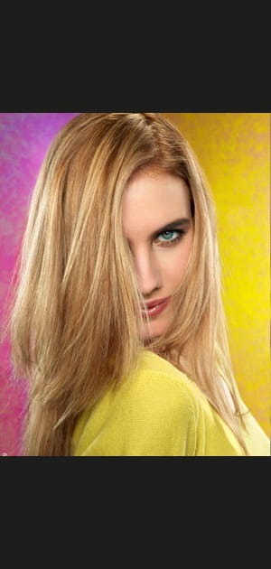 Le d&eacute;grad&eacute; classique