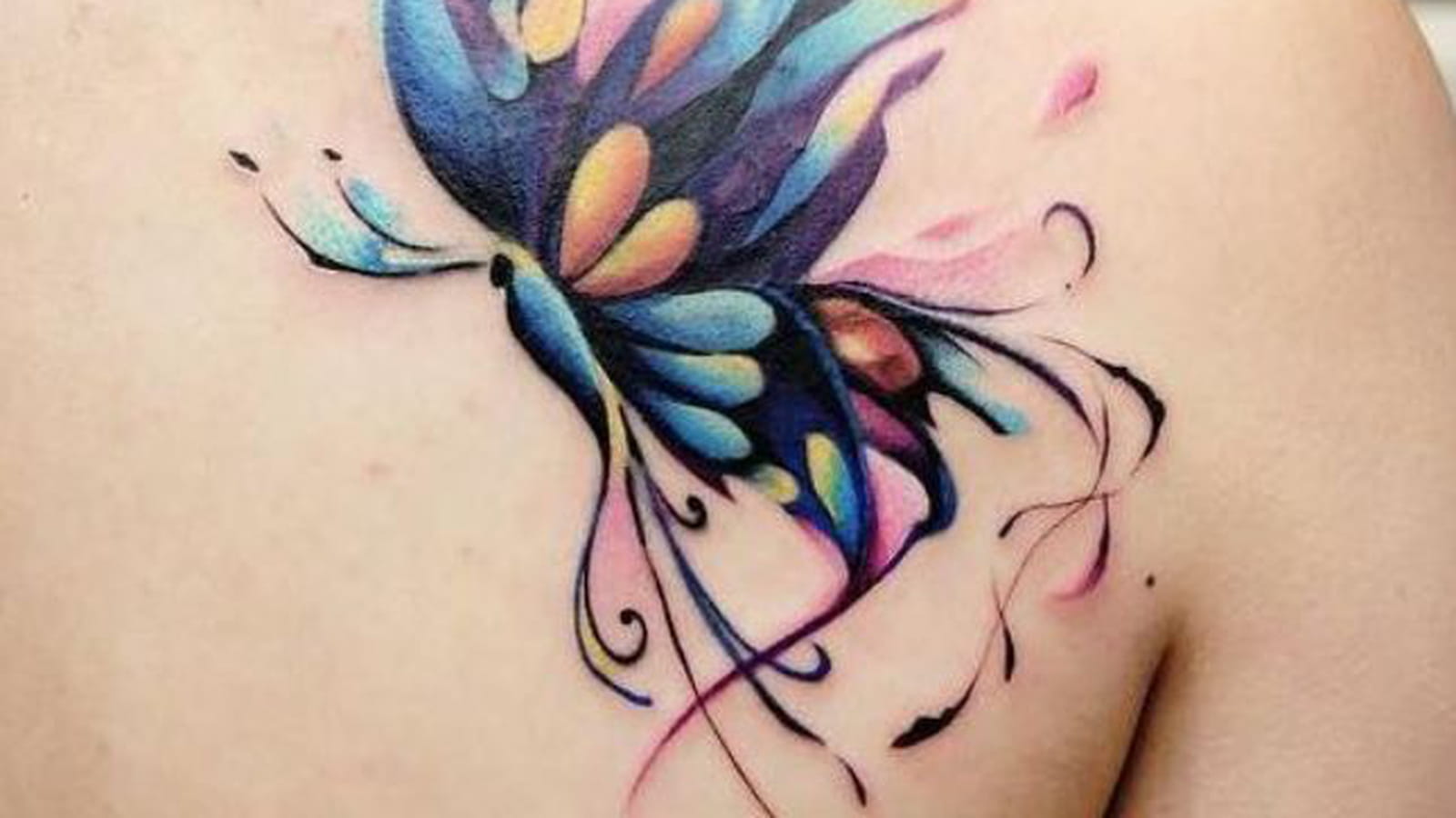 Papillon multicolore sur l'omoplate