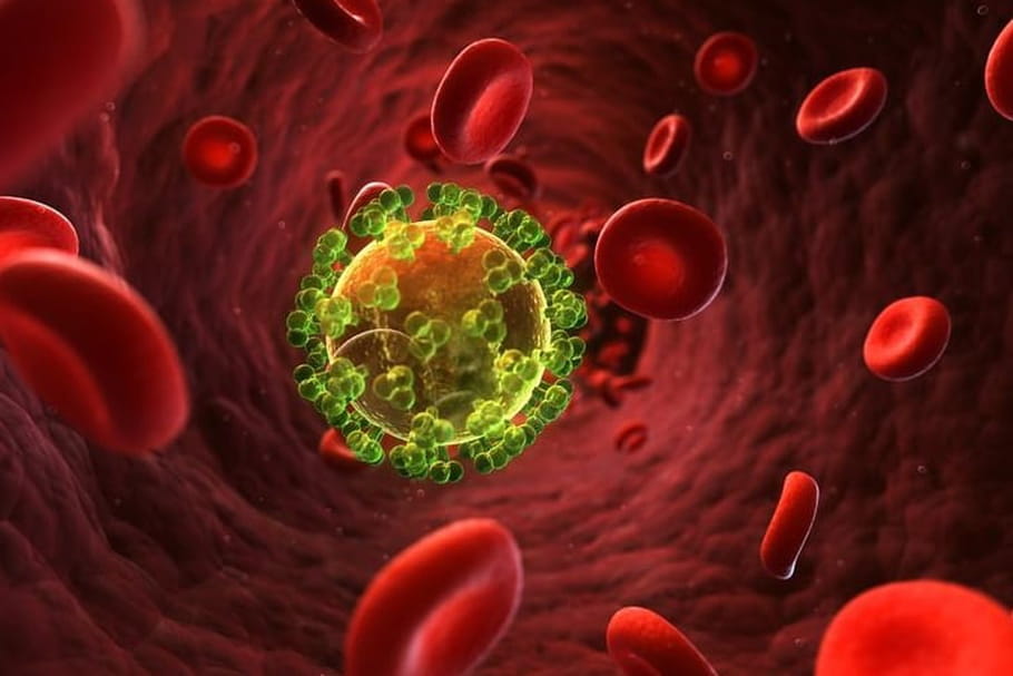 Sida : le taux de mortalité a été divisé par deux depuis 2005