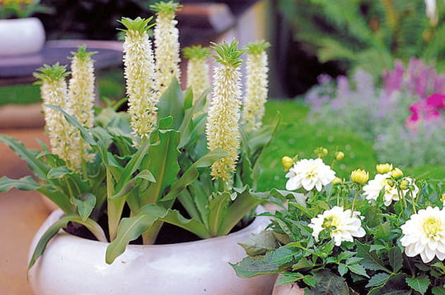 En pot, faites-vous plaisir