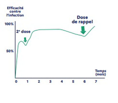 Schéma de l'efficacité du vaccin contre le Covid-19
