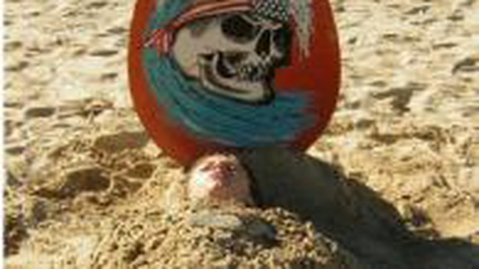 Le surf, c'est trop mortel !