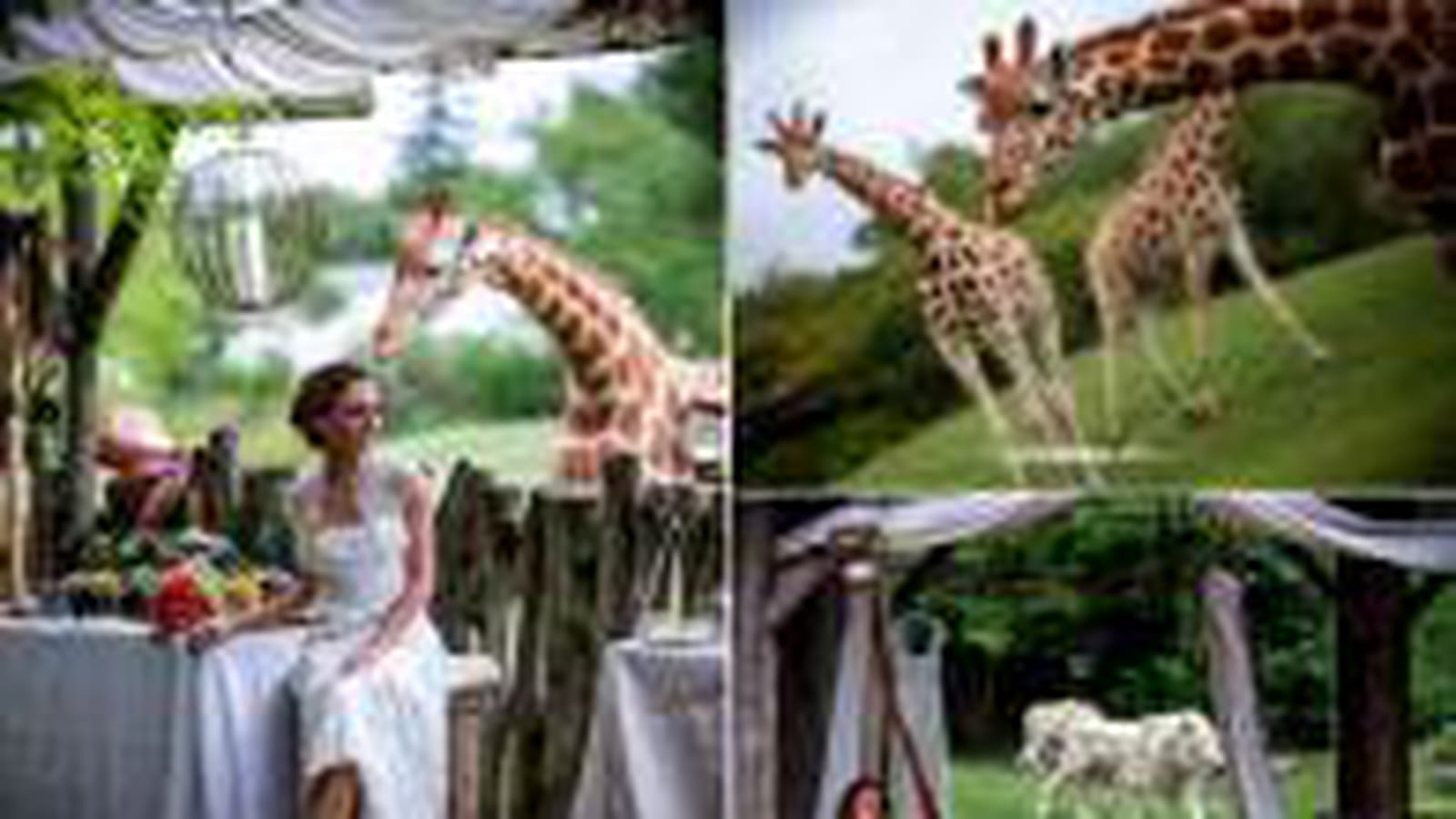 Au zoo