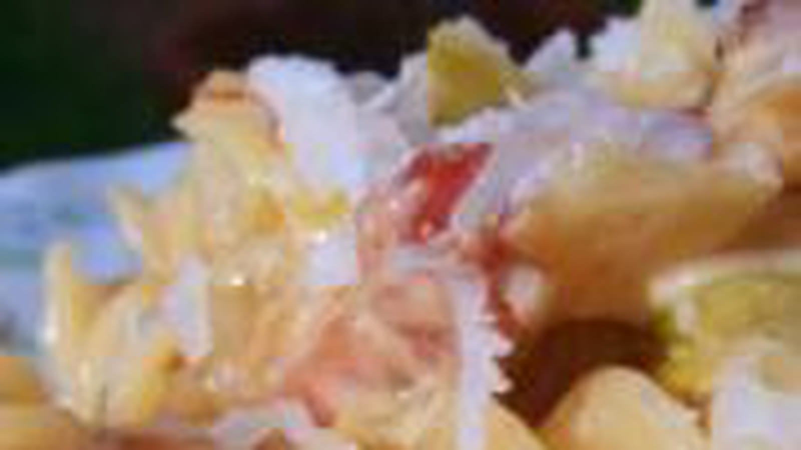 Tortis à la fondue de poireaux façon carbonara