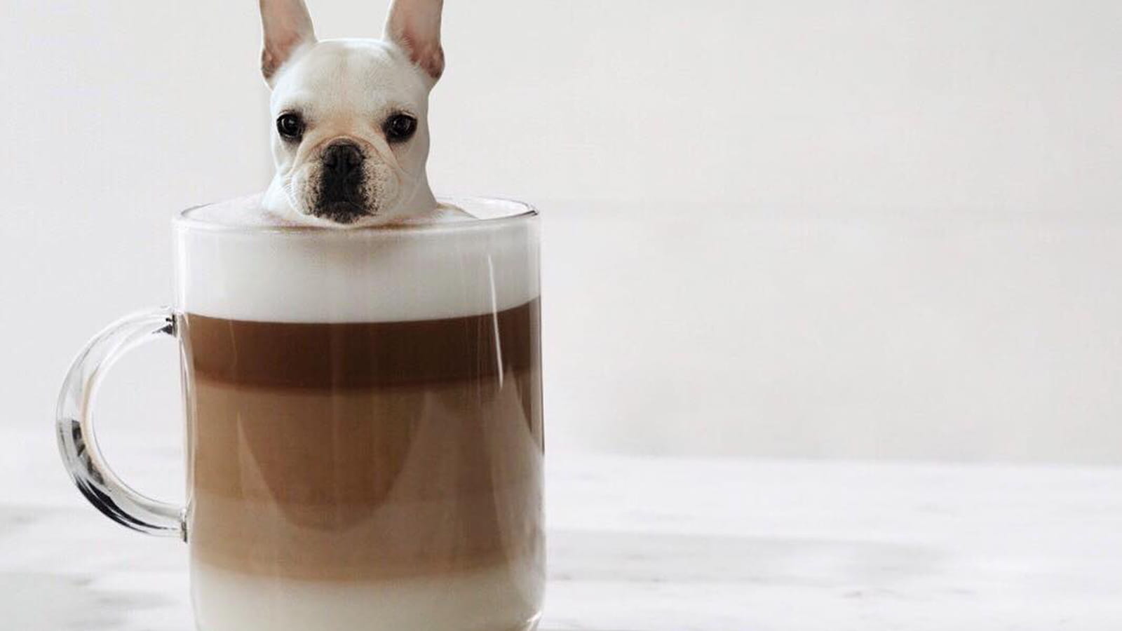 Adorable café