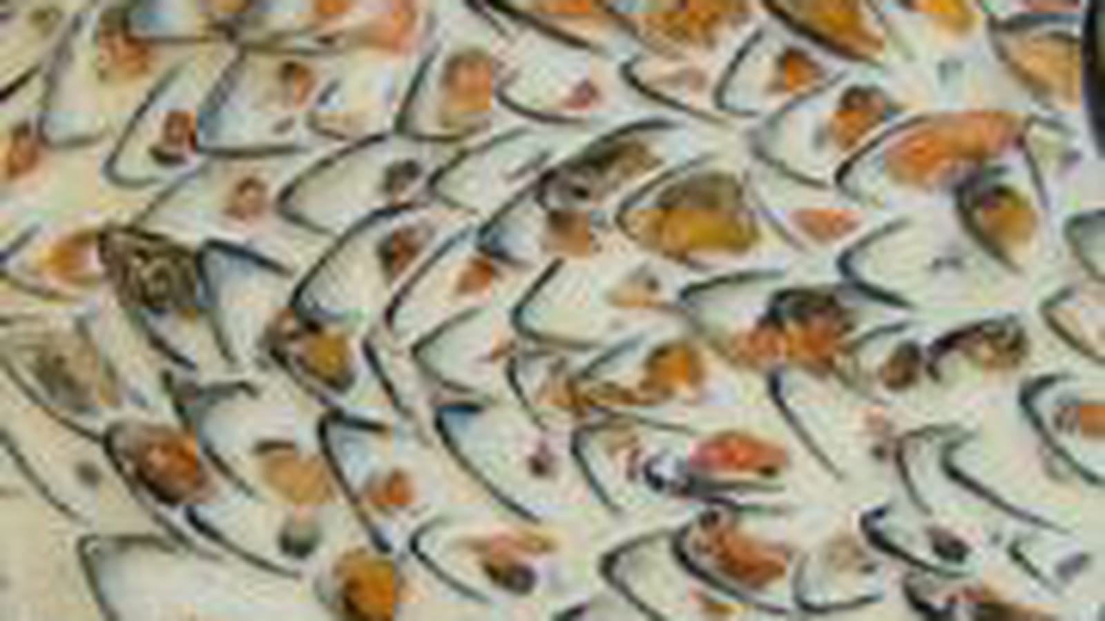 Moules froides