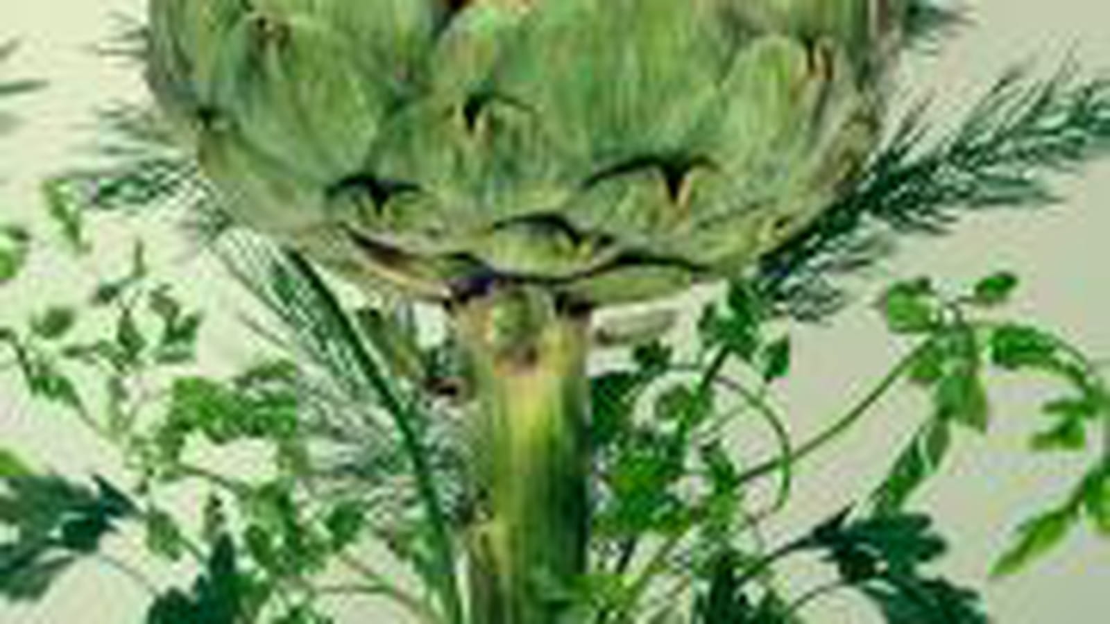 Go Green Burger