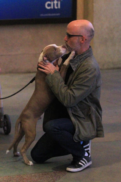 Moby&nbsp;: une rencontre au poil