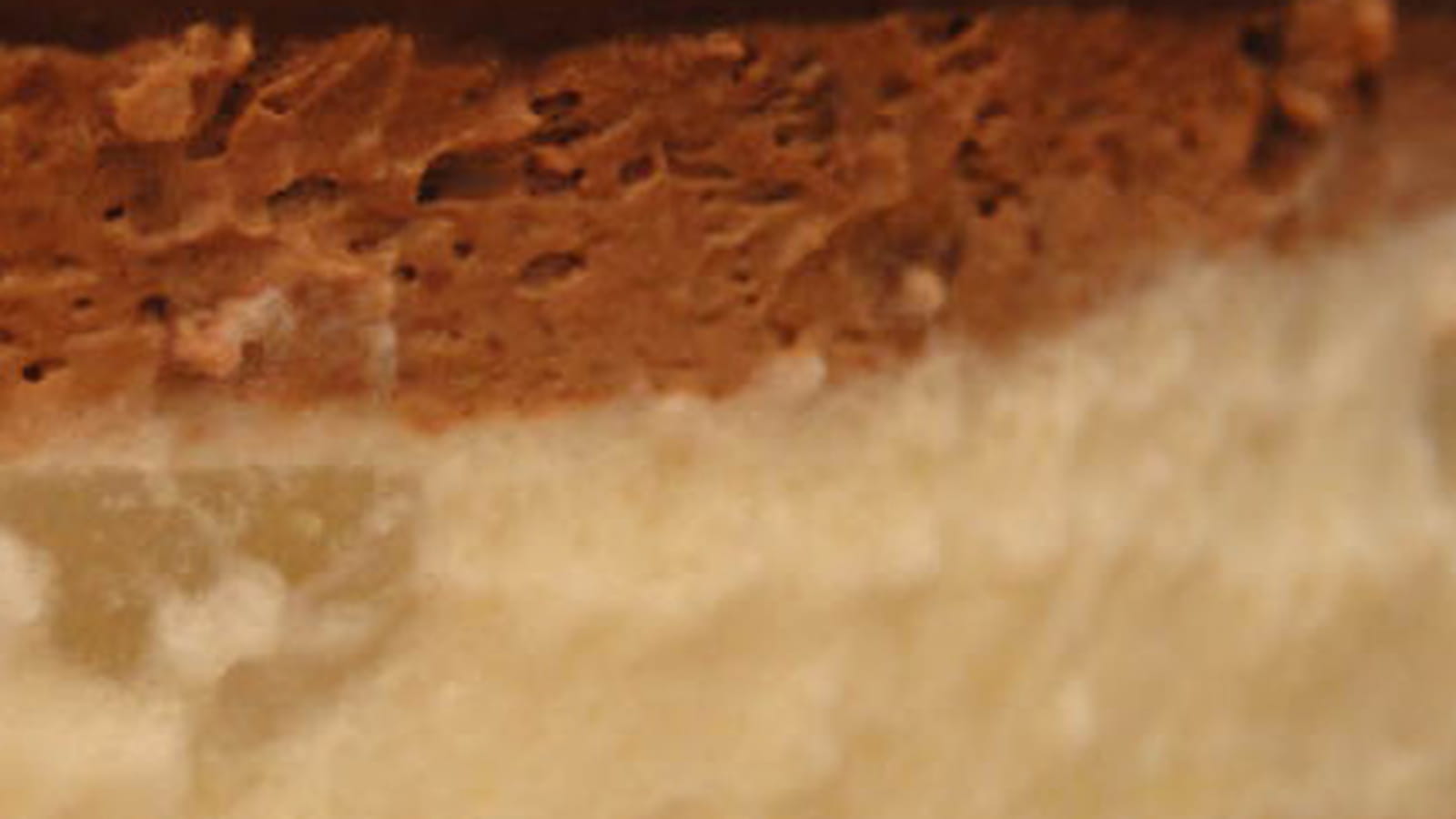Bavarois poire chocolat