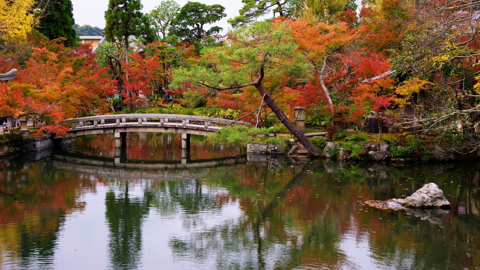 Jardin japonais en automne 