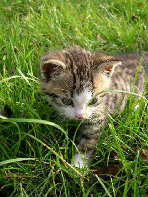 En route pour l'aventure