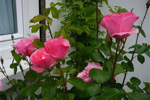 Il faut de la patience