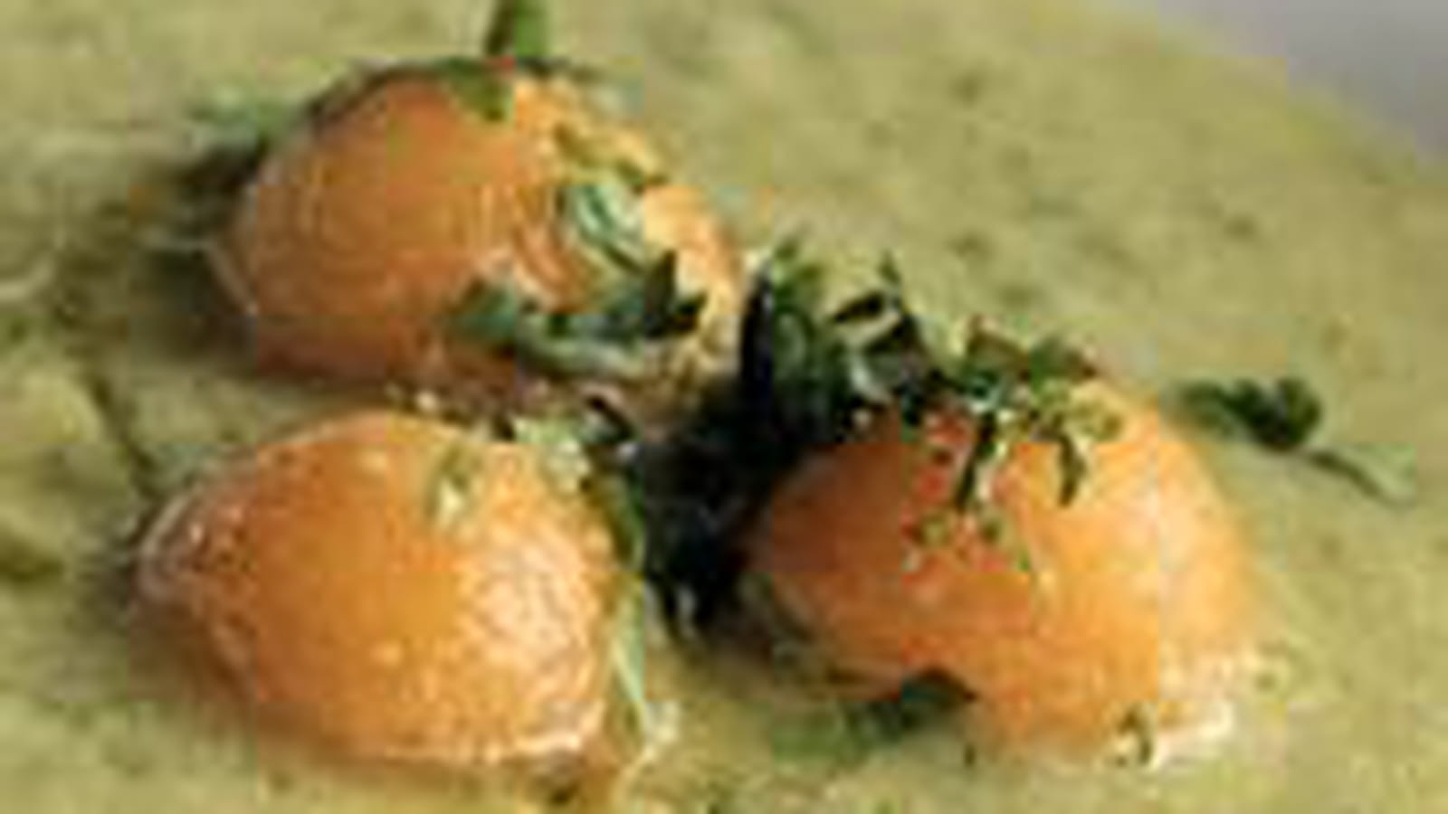 Concombre melon fenouil