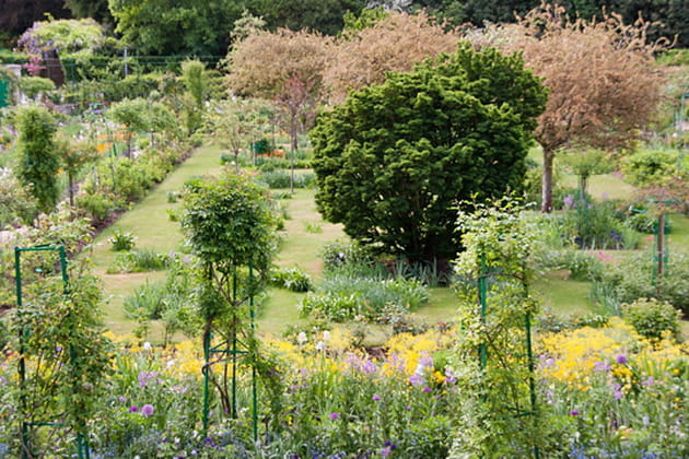 Une passion née sur le tard et devenue obsession