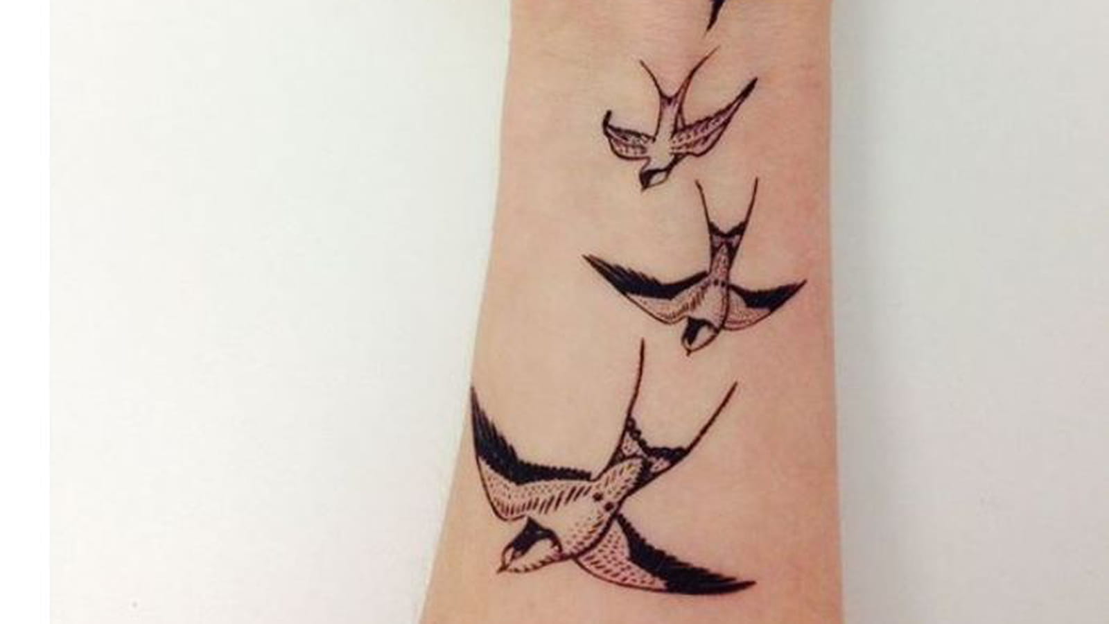 Les oiseaux