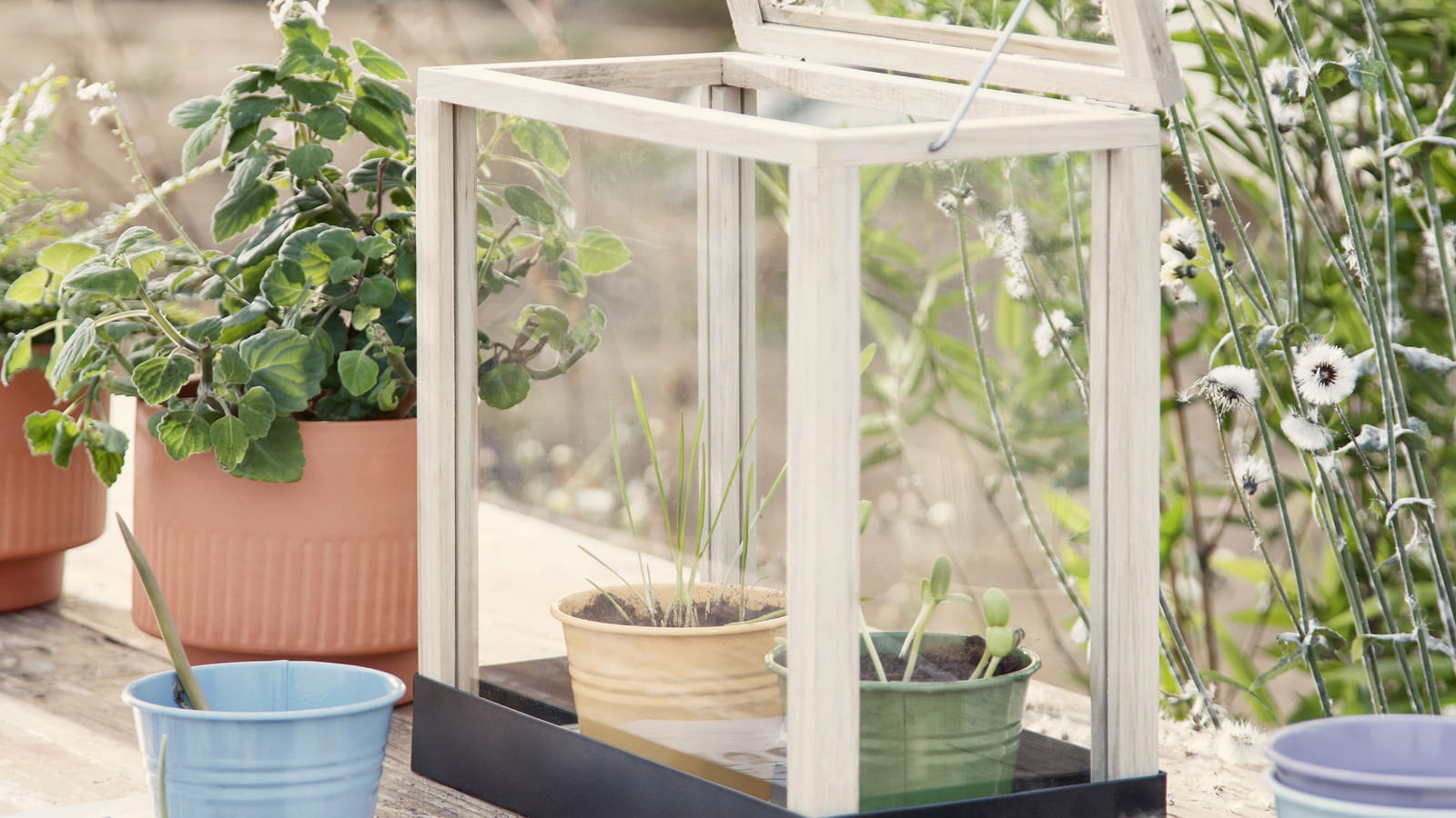 Mini serre Sostrene Grene
