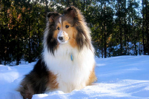 Porto le s&eacute;ducteur