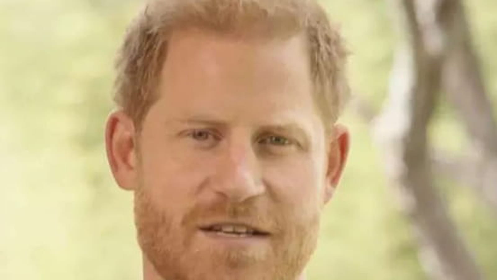 Prince Harry