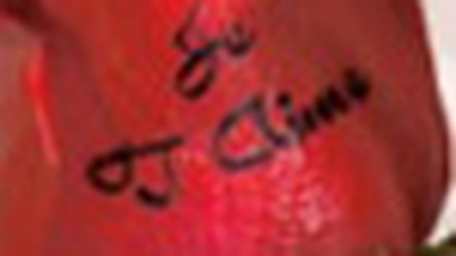 Je t'aime