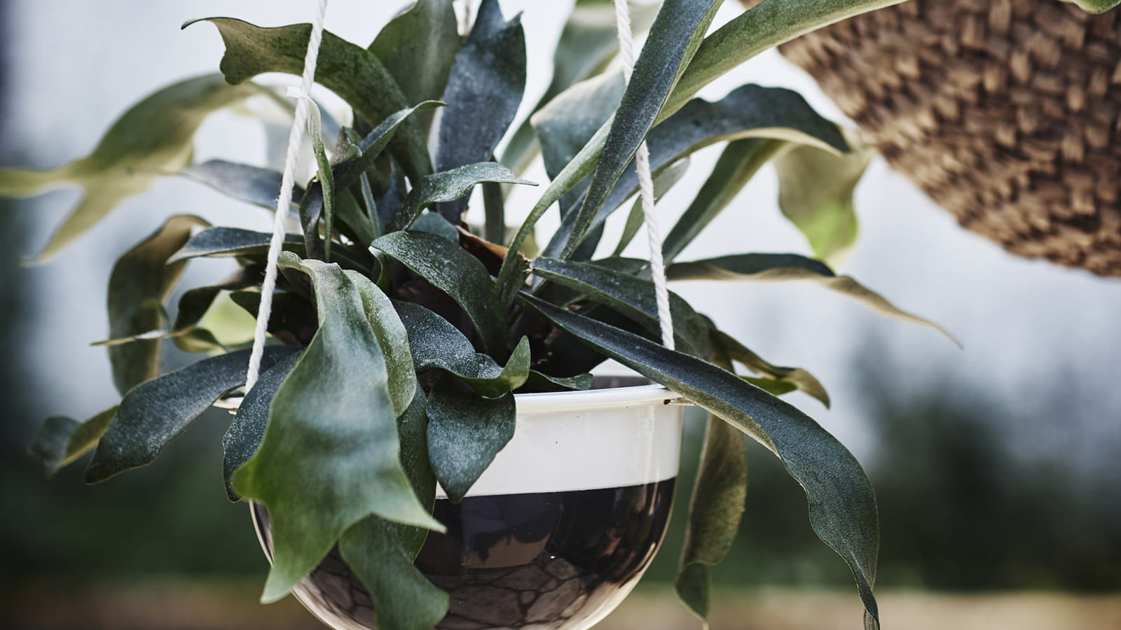 Pot à suspendre Sommar Ikea 