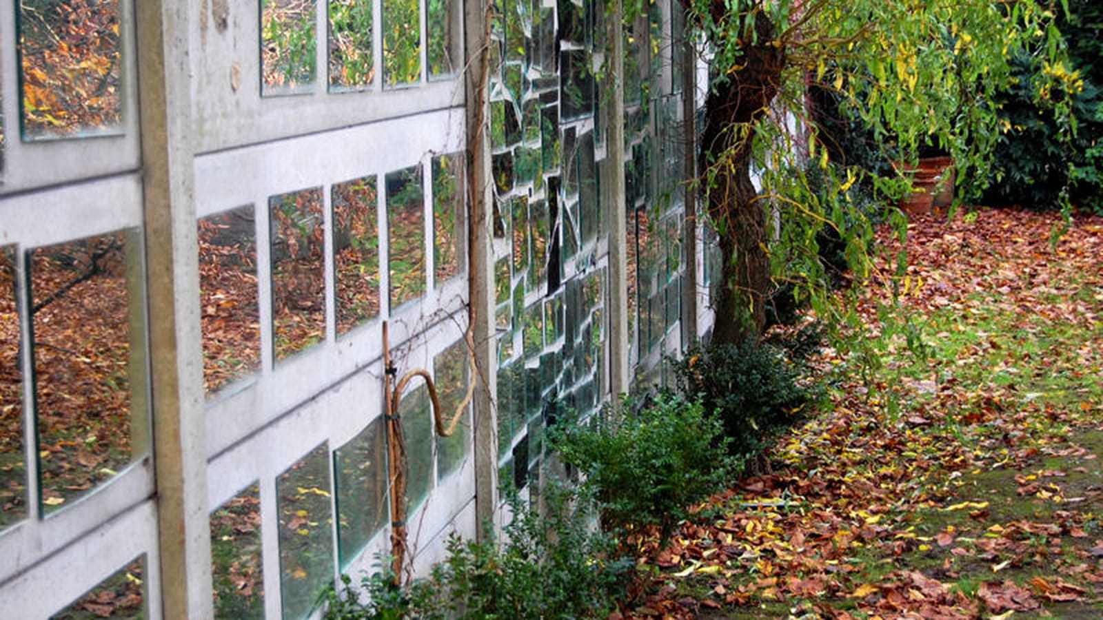 Le jardin