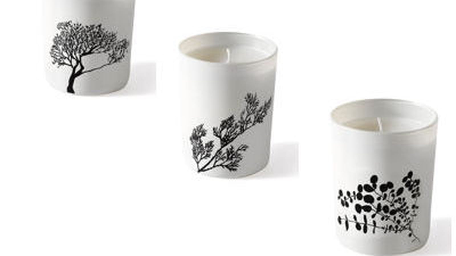 Bougies arbres