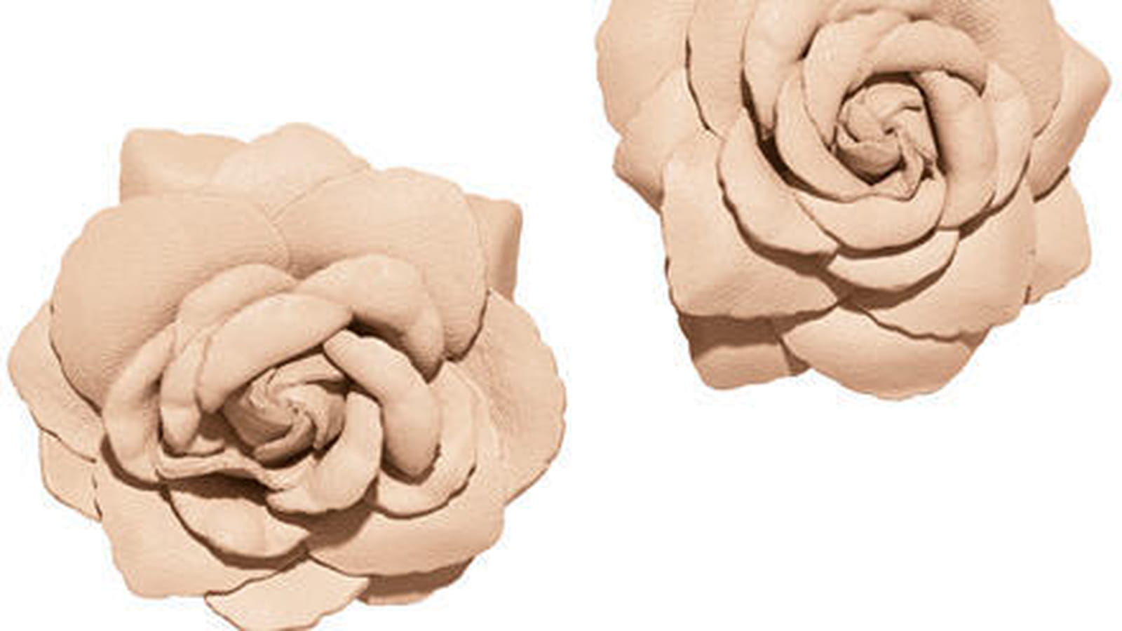 Les boucles d'oreilles