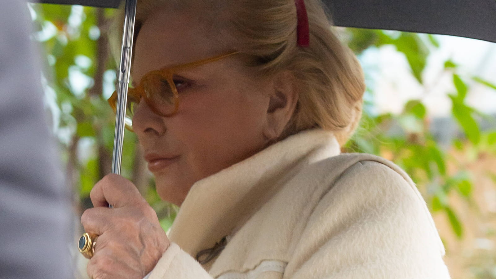 Sylvie Vartan et sa barrette dans les cheveux