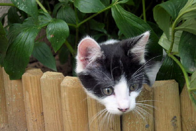 Premi&egrave;re sortie de Chaussette