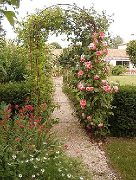 A l'assaut de la pergola
