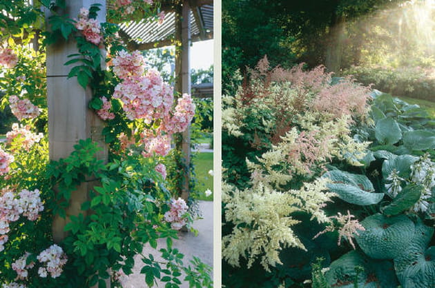 De massifs en massifs