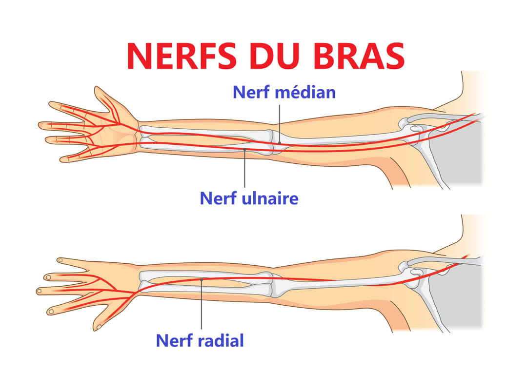 https://img-3.journaldesfemmes.fr/DntrkFj9hZ3U9BoToJ0QIcn96Qg%3D/1080x/smart/d73f284081d64e2a81431465916f5ec5/ccmcms-jdf/33300743.jpg