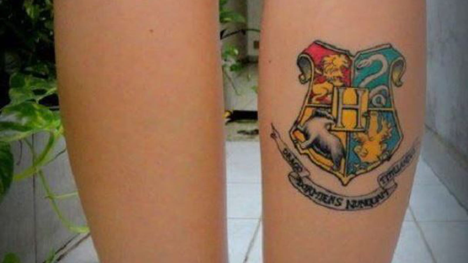 Quatre maisons Harry Potter sur le mollet