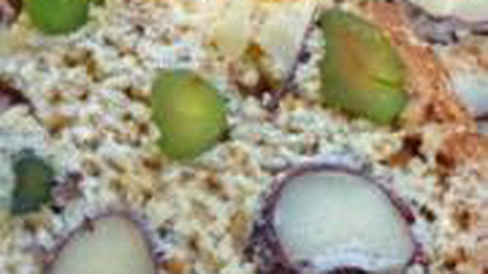 Croquants amande noisette pistache