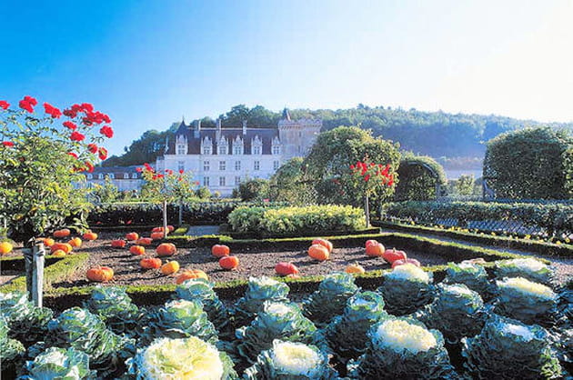 Le potager et la façade ouest du chateau