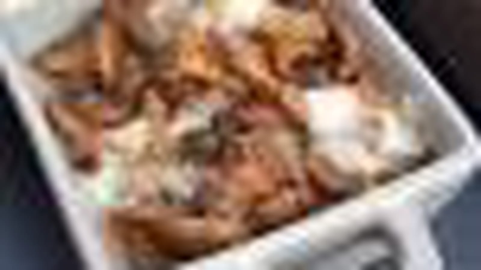 Cocotte girolles, cumin et Munster
