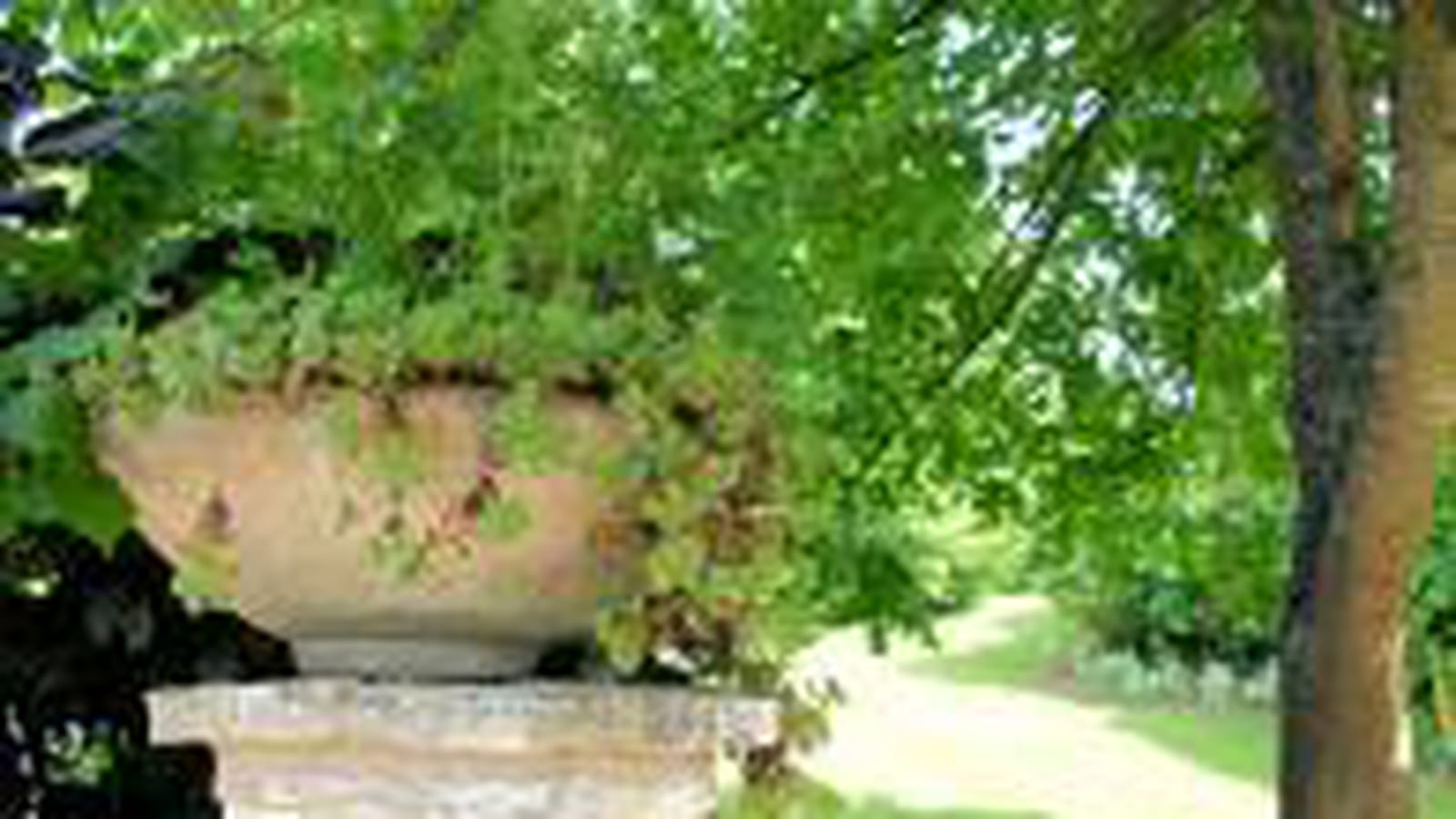 Jardin bien aménagé