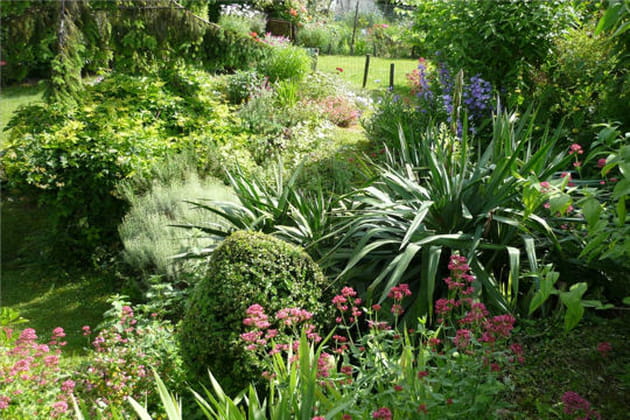 La ferme fleurie de Jo&euml;lle
