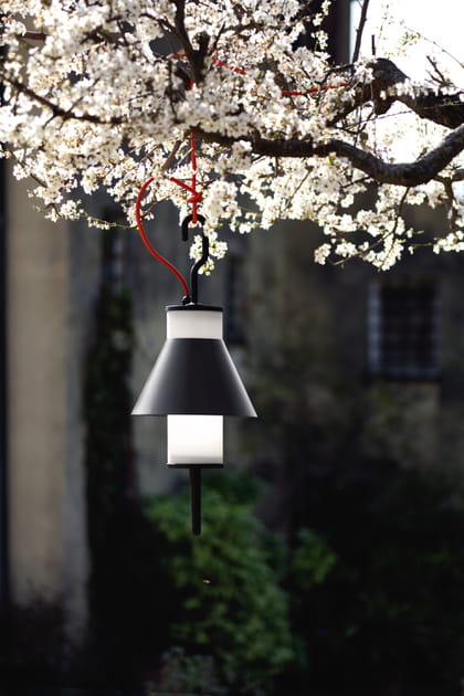 Suspension Pistillo de Martinelli Luce