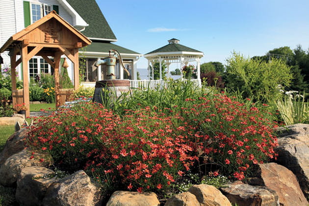 Une longue floraison