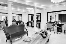 salon lucia iraci photo article